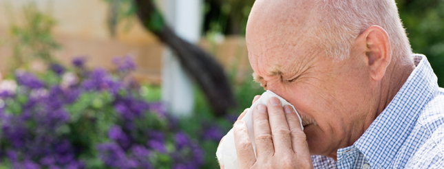 Allergies-and-Sensitivities 